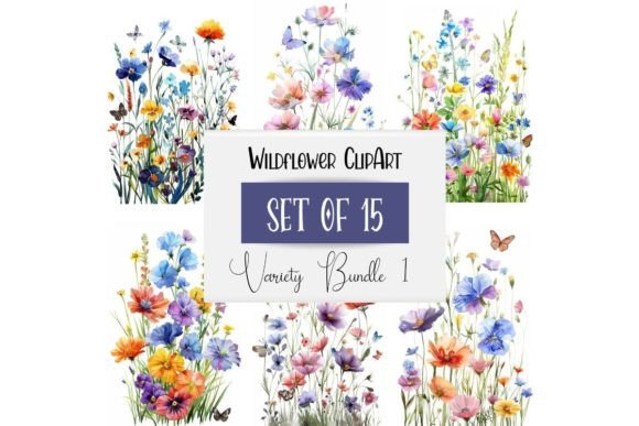 Download Watercolor Wildflower Meadow Flowers - Wildflower meadow Collection