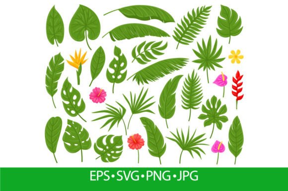 Download Cartoon Tropical Palm, Monstera, Plumeri - Tropic Collection