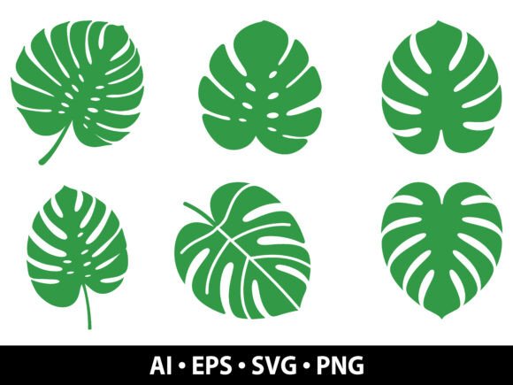 Download Monstera Leaf SVG Bundle - Premium Resources